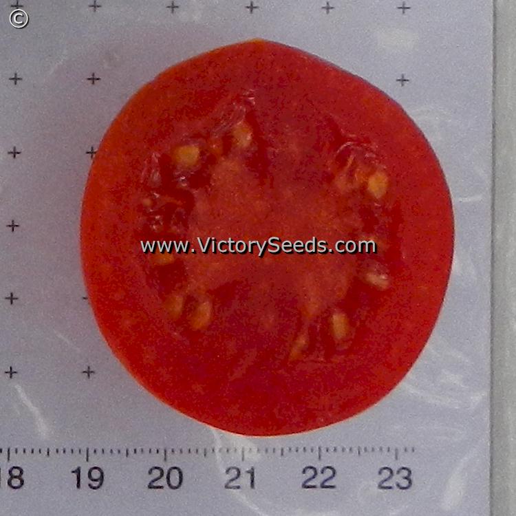 'Iditarod Red' tomato slice.