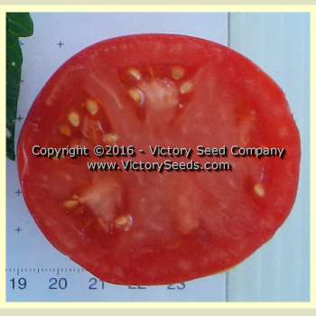 Isbell's 'New Phenomenal' tomato slice.