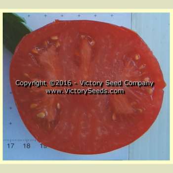 'John Baer' tomato slice.