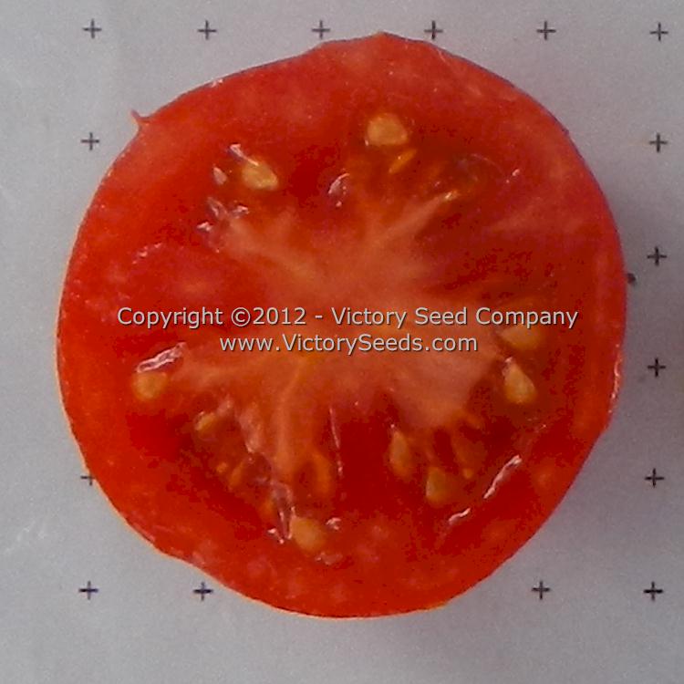 'Kimberly' tomato slice.