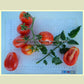 'King Humbert' (aka 'Roi Umberto') tomatoes.