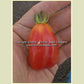 'King Humbert' (aka 'Roi Umberto') tomato.