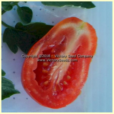 'King Humbert' (aka 'Roi Umberto') tomato slice.