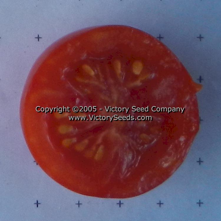 'Large German Cherry' tomato slice.