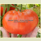 'Large Lucky Red' tomato.