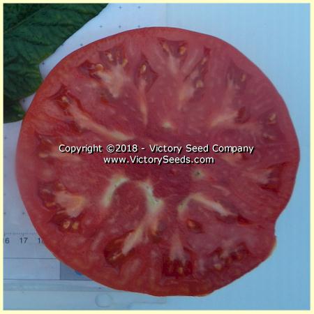 'Large Lucky Red' tomato slice.