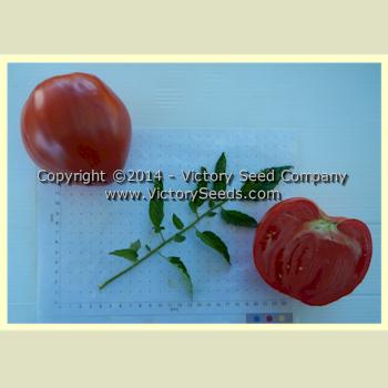 'Linnie's Oxheart' tomatoes slice.