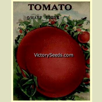 1910 seed packet lithograph of 'Dwarf Stone' tomatoes.