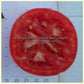'Livingston's Globe' tomato slice.