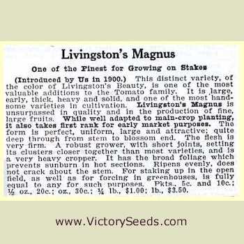 Description from the 1918 Livingston's Seed Annual.