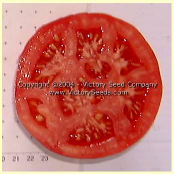 Livingston's 'Rosy Morn' tomato slice.