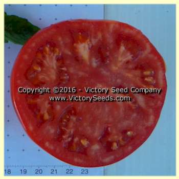'Loran Blood' tomato slice.