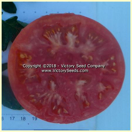 'Louisiana Gulf State' tomato slice.