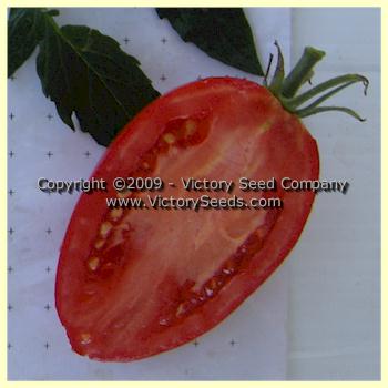 'Mama Leone' tomato slice.