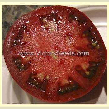 'Maralinga' dwarf tomato slice.  Image courtesy of Scott Jacobs, Atlanta, GA.