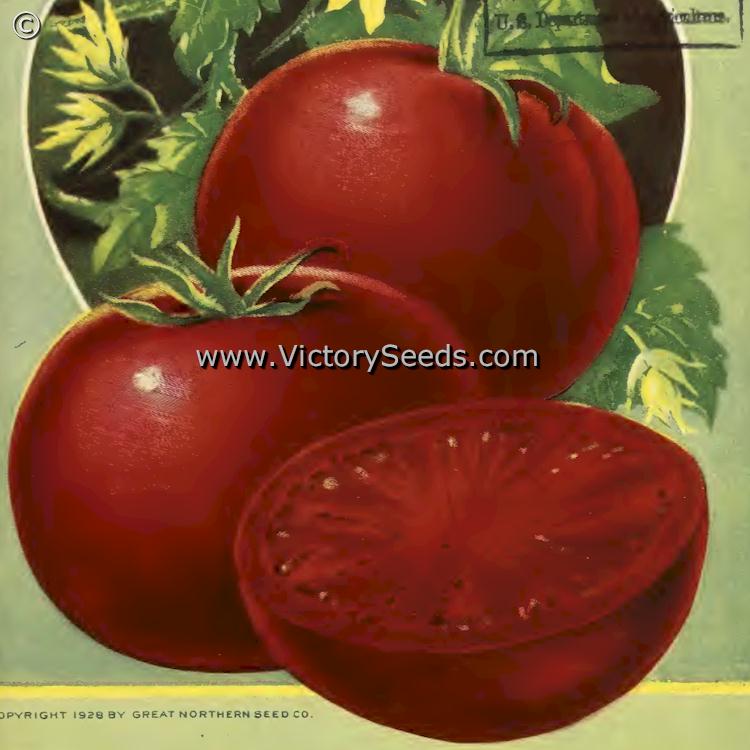 'Marglobe' tomatoes on the cover of the 1928 Great Northern Seed Co. annual.