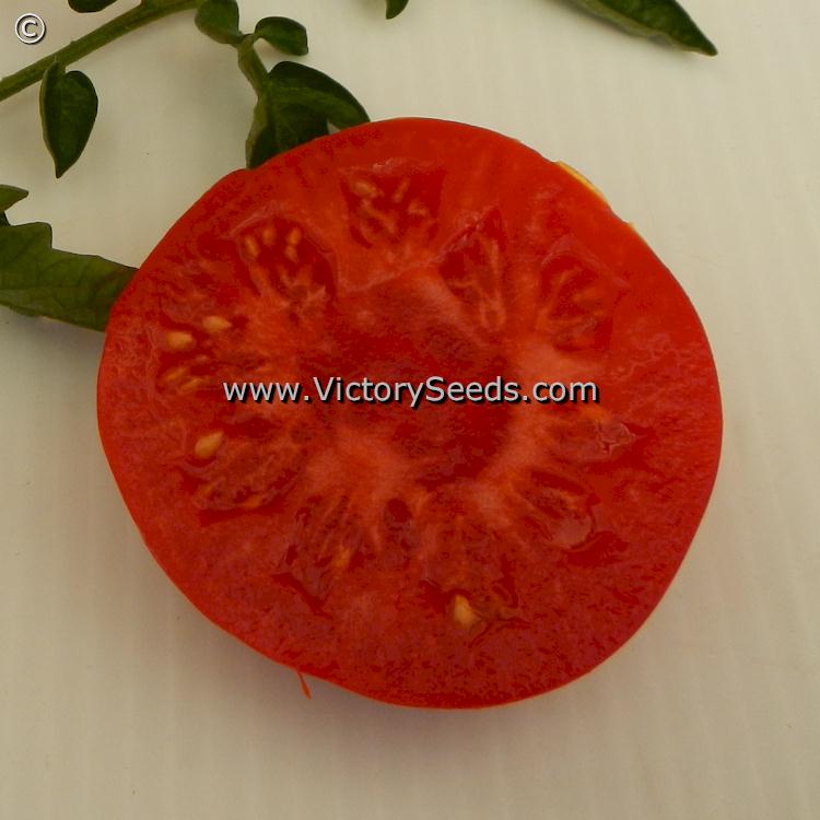 A 'Marmande' (aka 'Costoluto') tomato slice.