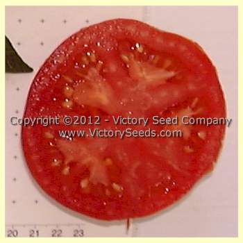 Maule's 'Success' tomato slice.