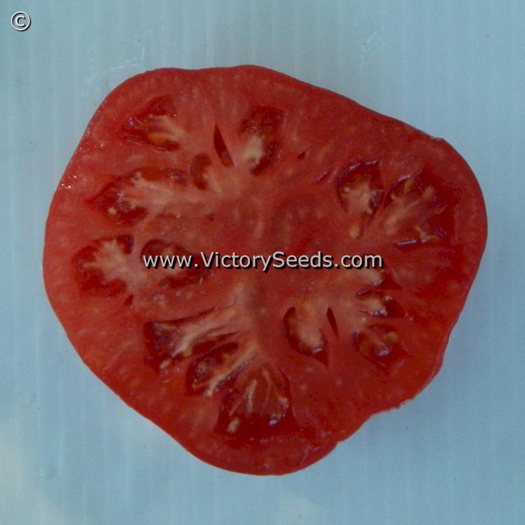 'McGarity's Mortgage Lifter' tomato slice.