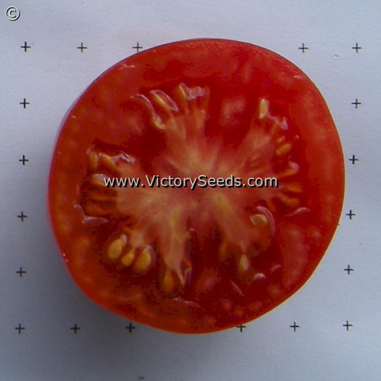 'Moravsky Div' tomato slice.