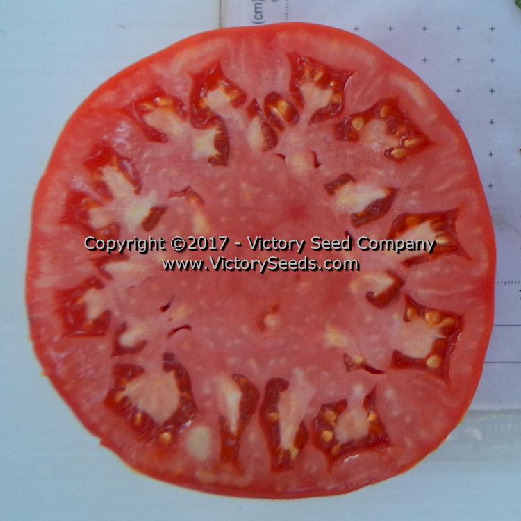 'Red Mortgage Lifter' tomato slice.