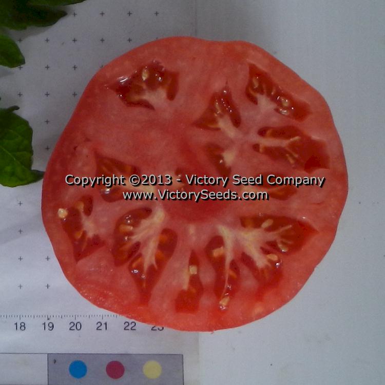 'Pale Leaf Mortgage Lifter' tomato slice.