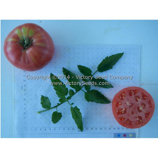Brandywine, Pink - Tomato - Victory Seeds® – Victory Seed Company