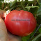 'Mullens' Mortgage Lifter' tomato.