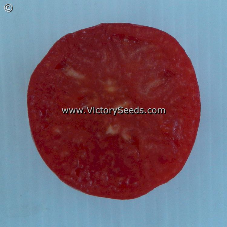 'Mullens' Mortgage Lifter' tomato slice.