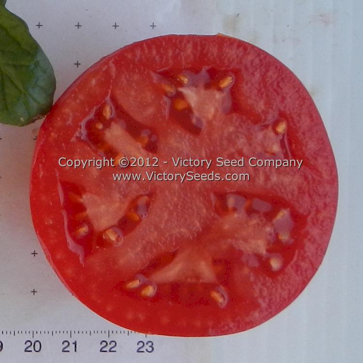 A 'Nepal' tomato slice.