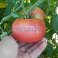 'New King' tomato.