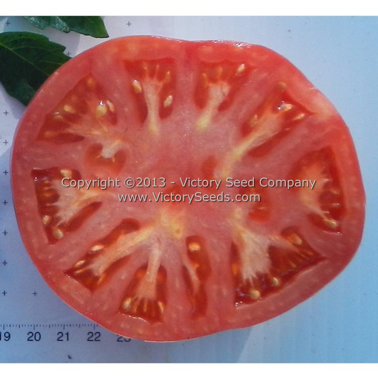'New King' tomato slice.