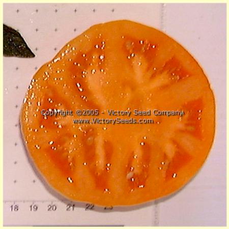 'Orange King' tomato slice.