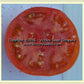 'Oregon Centennial' tomato slice.