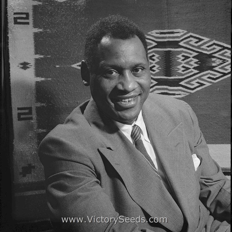 Paul Robeson, 1942. American actor, athlete, bass-baritone concert singer, writer, civil rights activist, Spingarn Medal winner, and Stalin peace prize laureate.