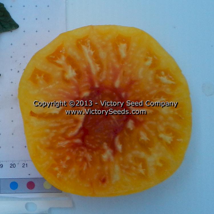 Another 'Paw Paw' tomato slice.