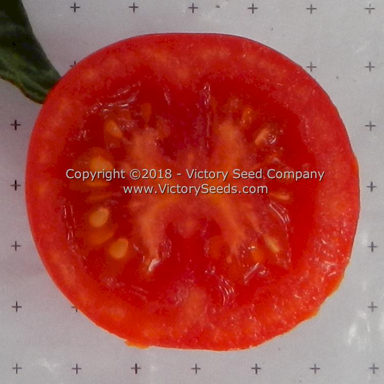 'Pearson' tomato slice.