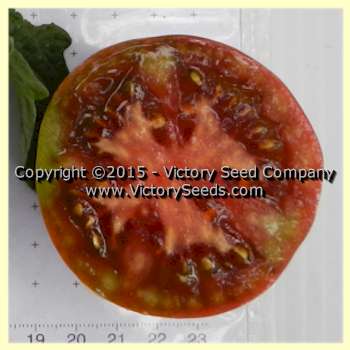 'Perth Pride' tomato slice.