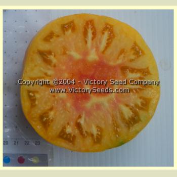'Pineapple' tomato slice.