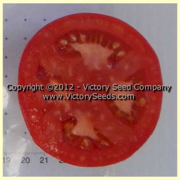 'Pinkshipper' tomato slice.