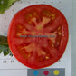 'Pritchard' (aka 'Scarlet Topper') tomato slice.