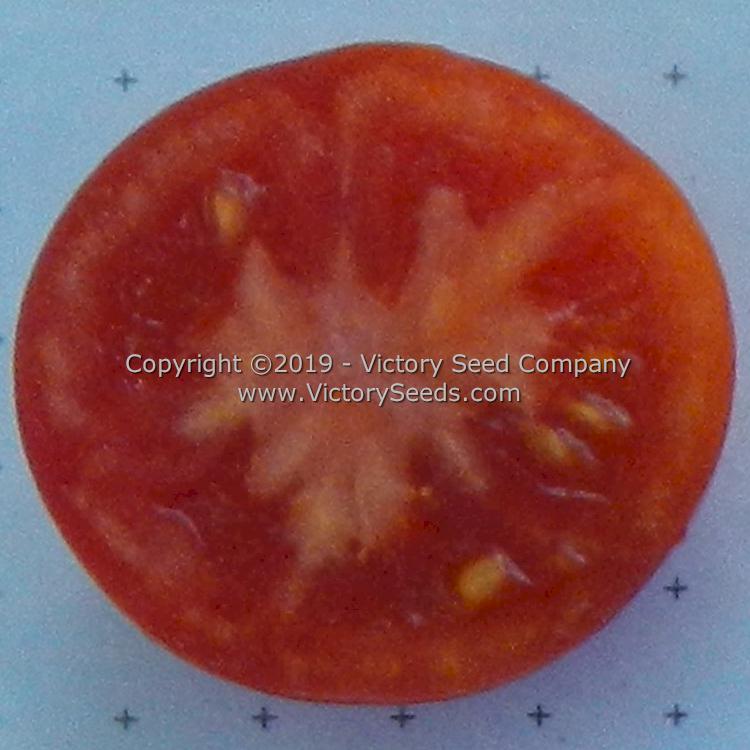 The inside of a 'Puck' tomato.