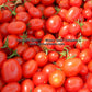 'Red Grape' tomatoes.