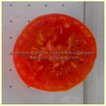 'Red Zebra' tomato slice.