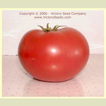 'Redfield Beauty' tomato.