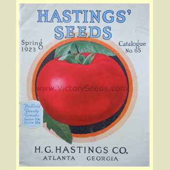 'Redfield Beauty' tomato on the cover of the 1923 Hasting's catalog.