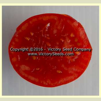 'Riverside' tomato slice.
