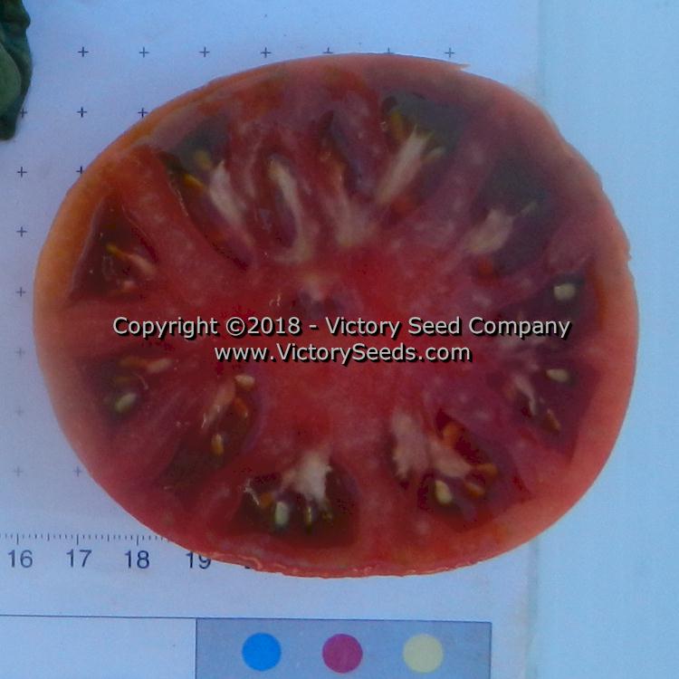 'Rosella Purple' tomato slice.