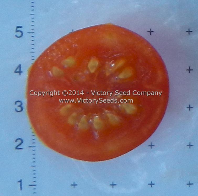 The inside of a 'Royal Red Cherry' tomato.