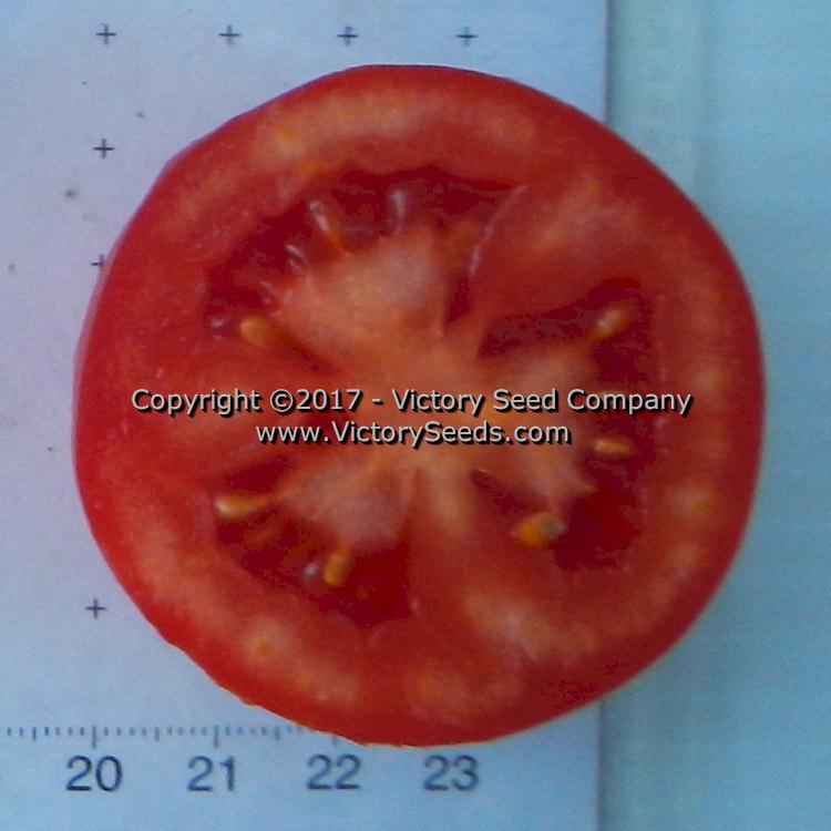 The inside of a 'Salsa' tomato.
